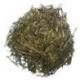 SENCHA FUKUYU - Paquet de 100g